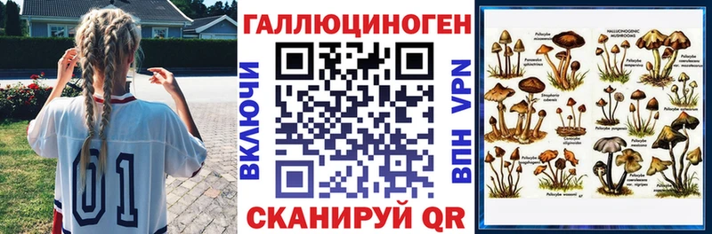 Псилоцибиновые грибы Cubensis  Купить где  Аша 